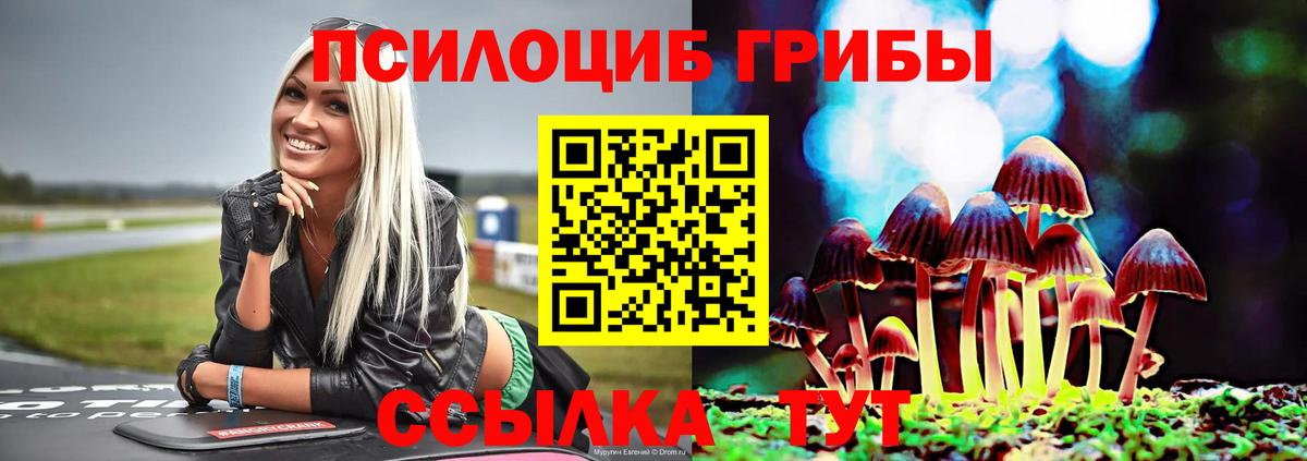 Фрязино  Галлюциногенные грибы мухоморы  Вход с VPN 